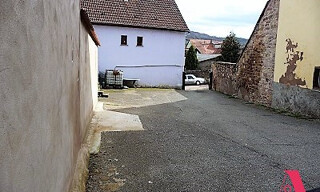 Photo N° 6