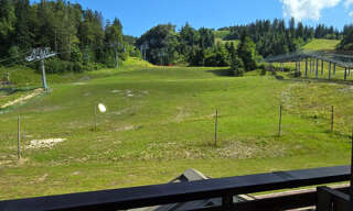 Appartement 1 Pièce 32 m² à vendre à Gex (01170)