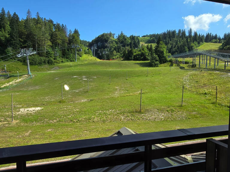 TRES BEAU T1BIS - COL DE LA FAUCILLE- VUE SUR LES PISTES — photo 1