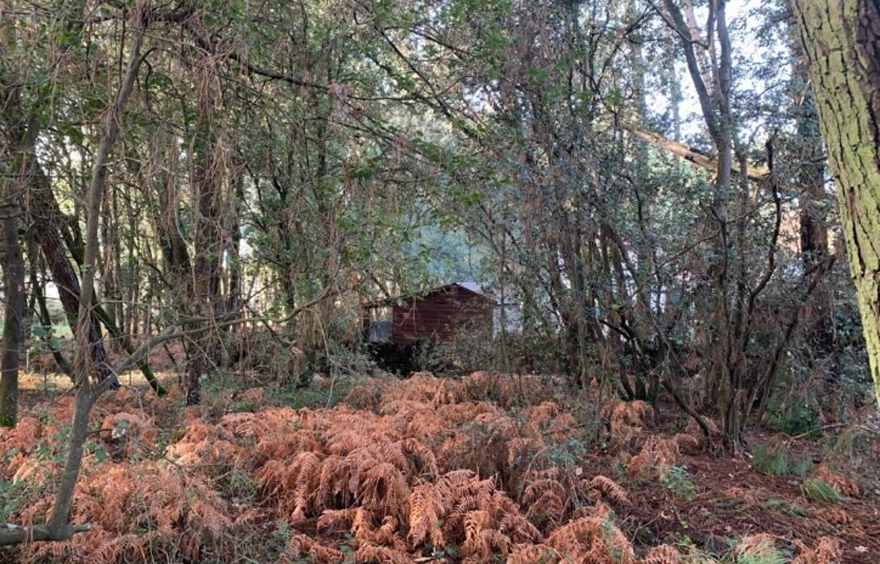 terrain  pièces 1185 m2 à vendre à Jard-sur-Mer (85520)