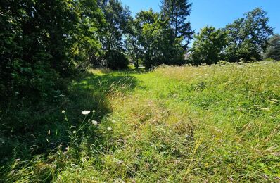 terrain  pièces 3435 m2 à vendre à Montigny-sur-Loing (77690)