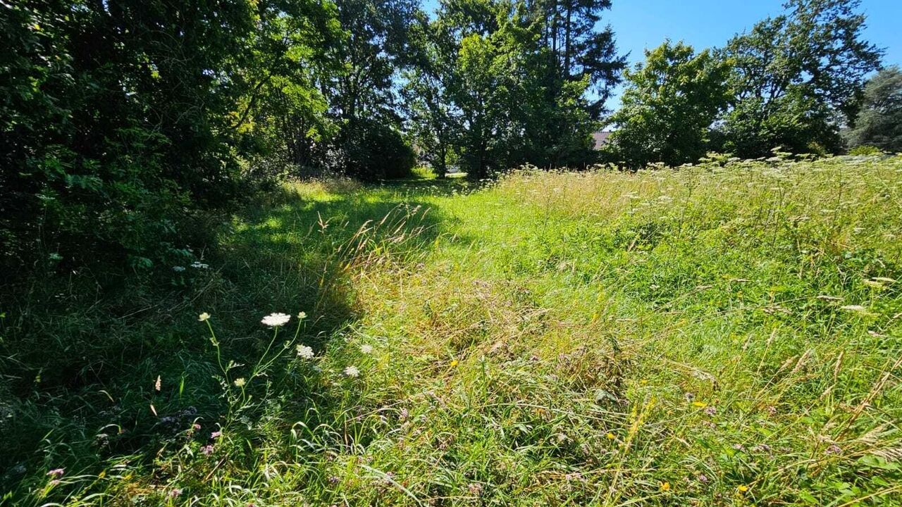 terrain  pièces 3435 m2 à vendre à Montigny-sur-Loing (77690)