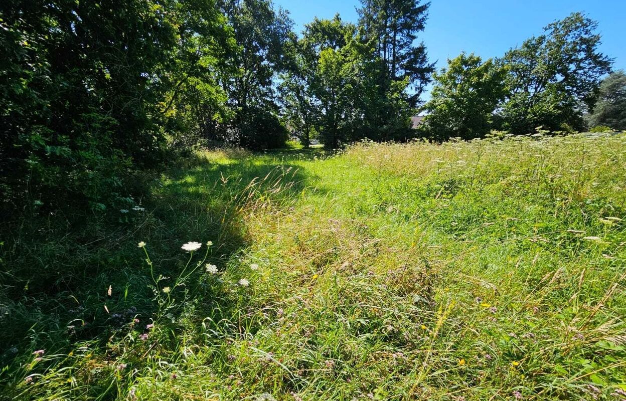 terrain  pièces 3435 m2 à vendre à Montigny-sur-Loing (77690)