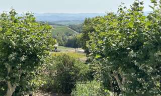 Maison 6 Pièces 205 m² à vendre à Belvèze-du-Razès (11240)