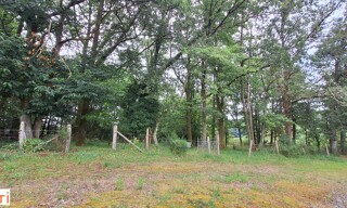 Photo N° 4
