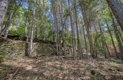 terrain  pièces 770 m2 à vendre à Concoules (30450)