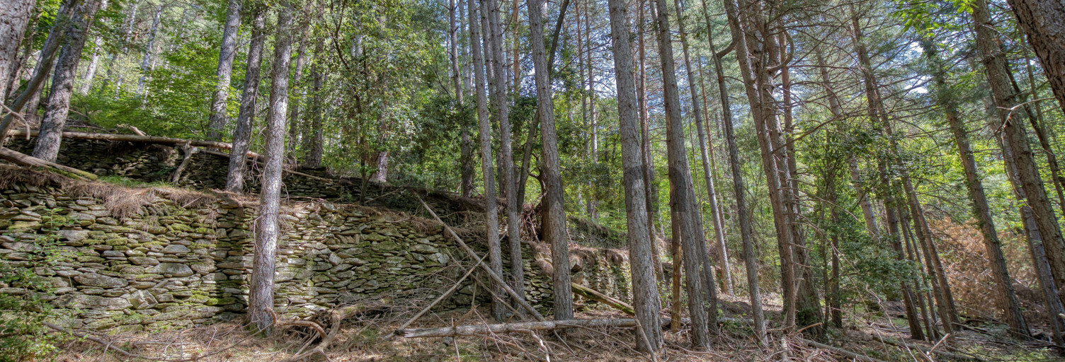 Terrain  770 m² à vendre à Concoules (30450)