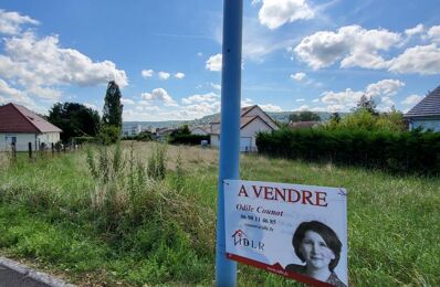 vente terrain 76 000 € à proximité de Neurey-en-Vaux (70160)