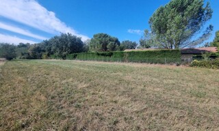 Photo N° 4