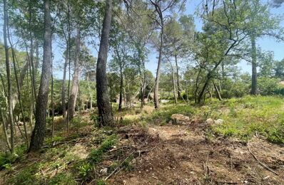 terrain  pièces 2800 m2 à vendre à Roquefort-les-Pins (06330)