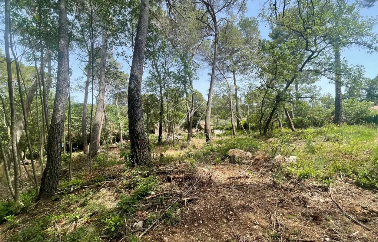 terrain  pièces 2800 m2 à vendre à Roquefort-les-Pins (06330)