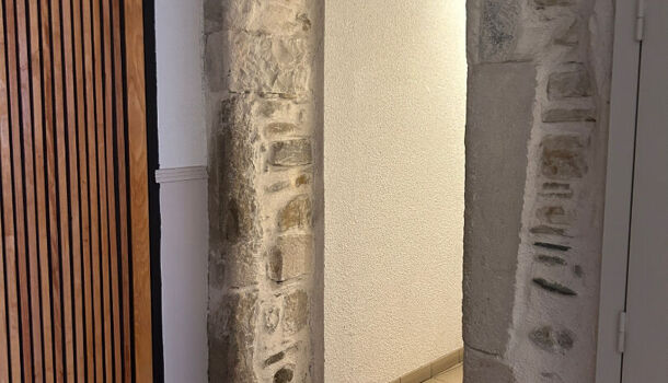 Appartement 3 pièces  à vendre Nay 64800