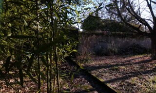 Photo N° 5