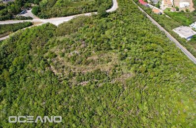 vente terrain 620 000 € à proximité de Saint Martin (97150)