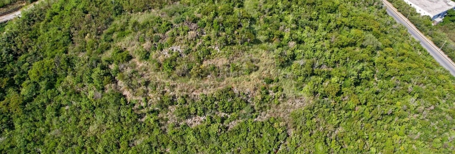 Terrain  4120 m² à vendre à Blandy (91150)