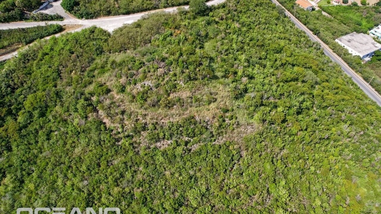 terrain  pièces 4120 m2 à vendre à Saint Martin (97150)