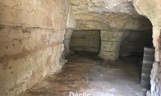 Commerce 1 Pièce 55 m² à vendre à Dierre (37150)