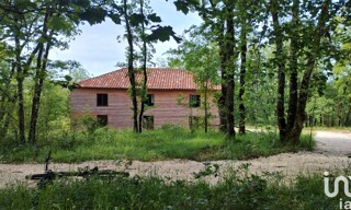 Photo N° 4