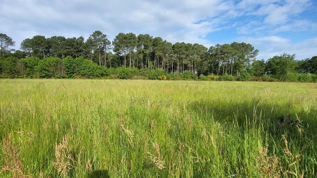 terrain  pièces 44000 m2 à vendre à Bazas (33430)