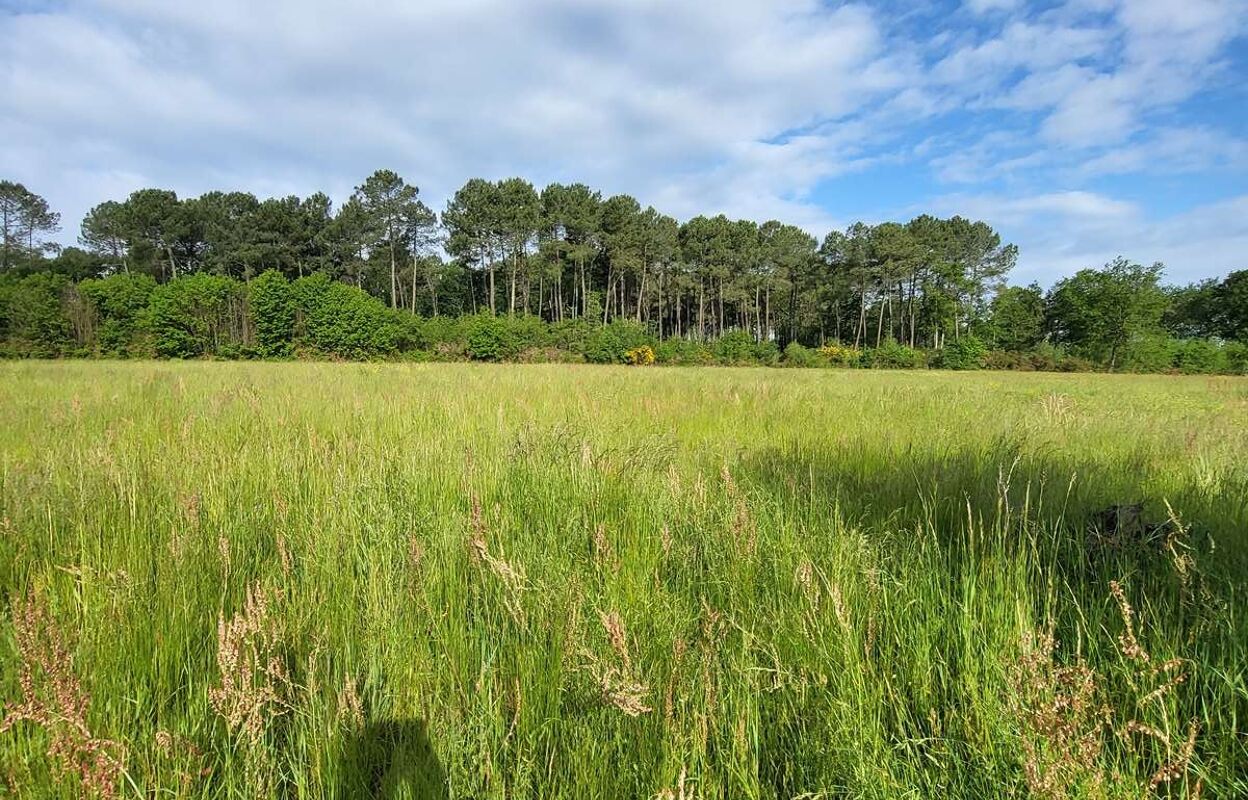 terrain  pièces 44000 m2 à vendre à Bazas (33430)