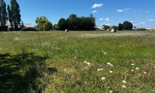 Terrain  3140 m² à vendre à Boutenac-Touvent (17120)