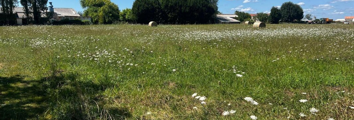 Terrain  3140 m² à vendre à Boutenac-Touvent (17120)