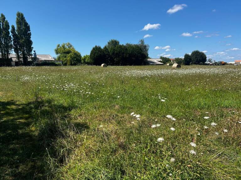 Terrain Boutenac Touvent 3 140 m2 — photo 1