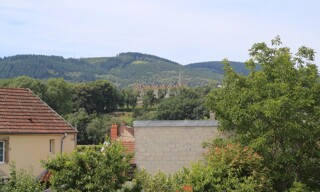 Photo N° 6