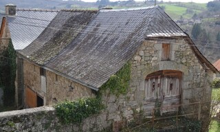 Photo N° 6