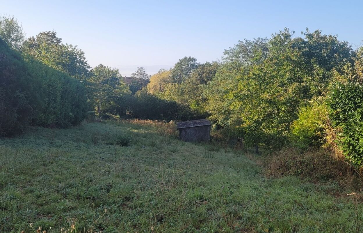 terrain  pièces 1800 m2 à vendre à Auzouer-en-Touraine (37110)