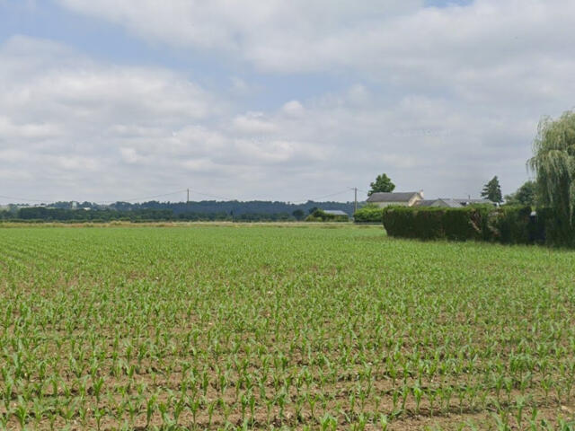 Terrain proposé à Ousse