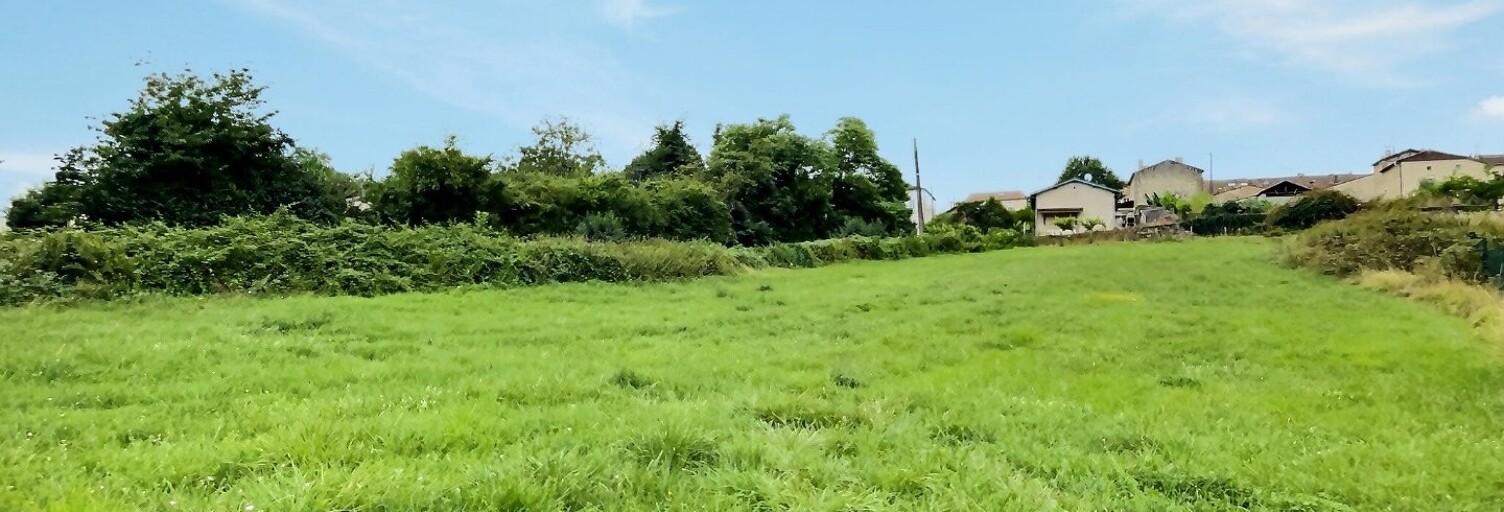 Terrain  3067 m² à vendre à Pellegrue (33790)