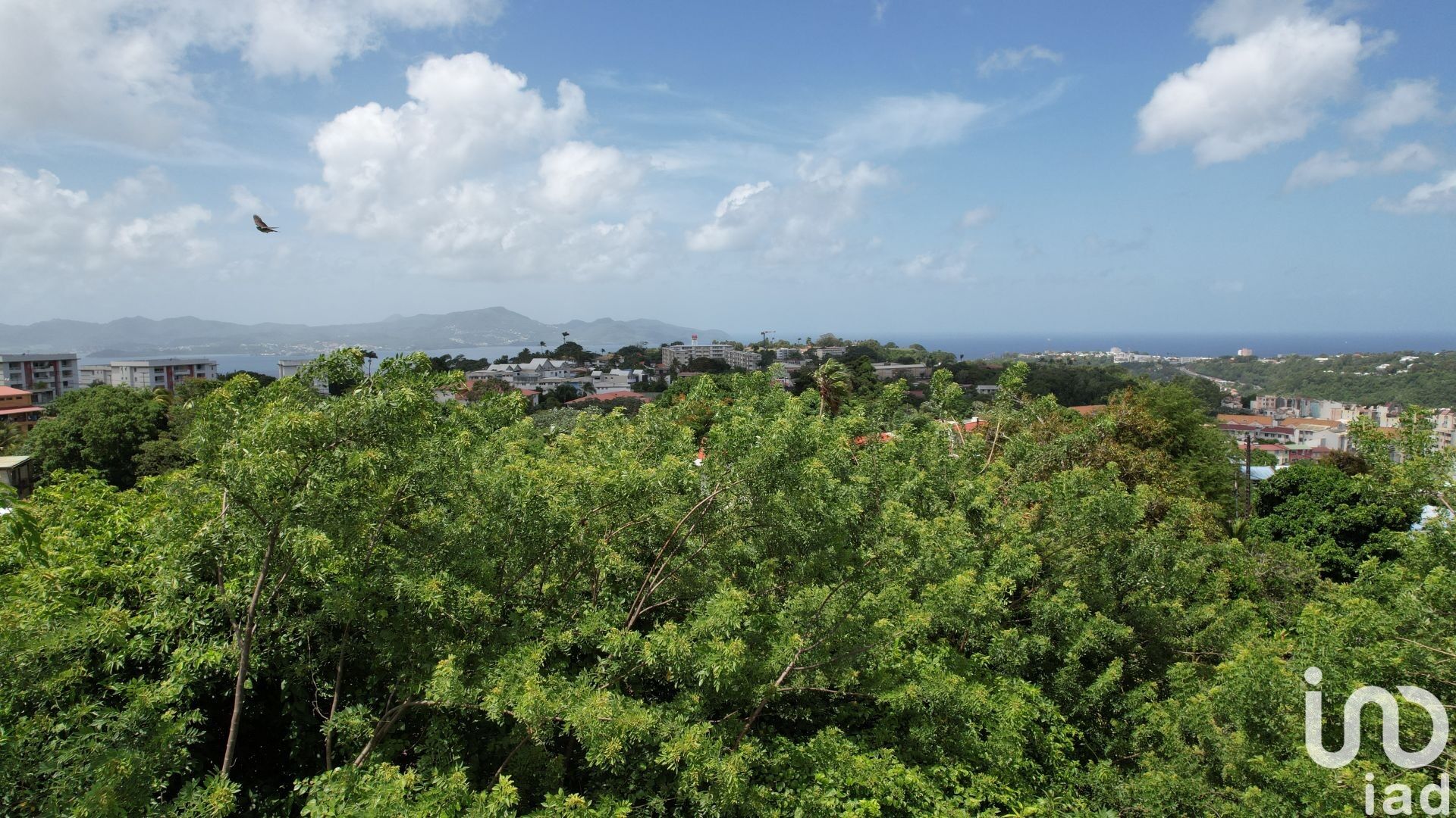 Fort-De-France - 103m² - 4p. - 3ch.