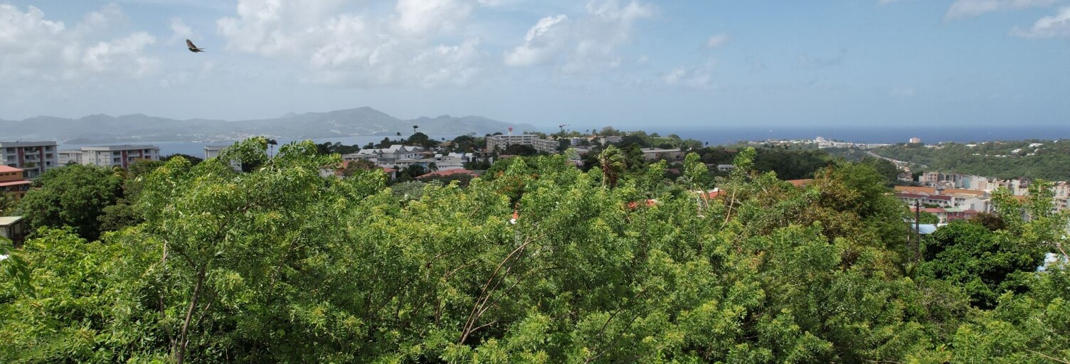 Appartement 4 Pièces 103 m² à vendre à Fort-de-France (97200)