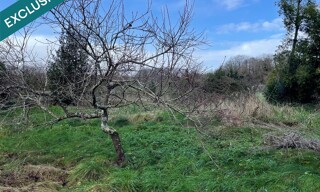 Photo N° 3
