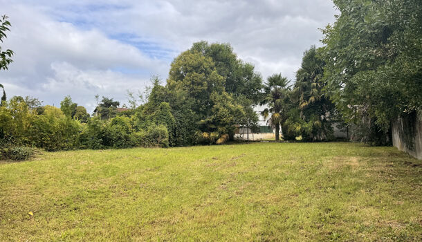 Immeuble  à vendre Orthez 64300