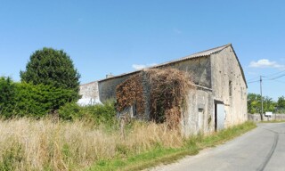 Photo N° 3