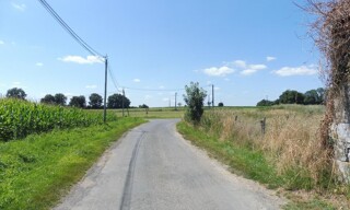 Photo N° 5