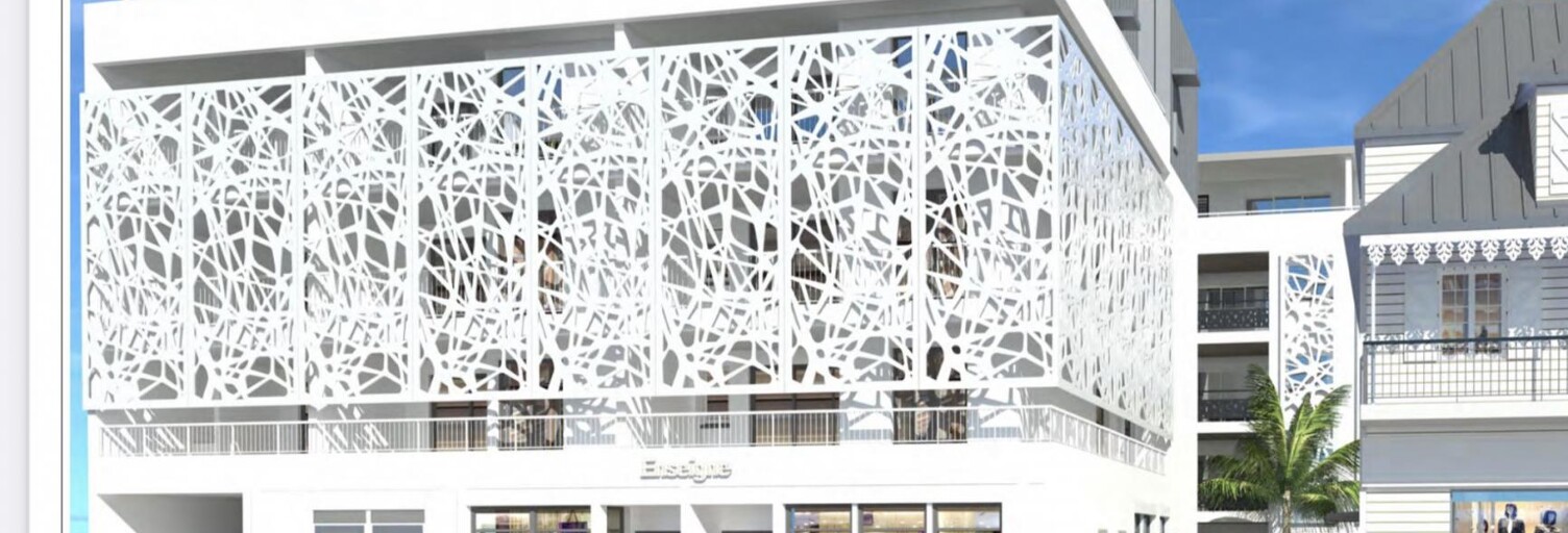 Appartement 3 Pièces 67 m² à vendre à Saint-Denis (97400)