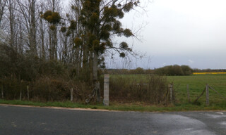 Photo N° 2