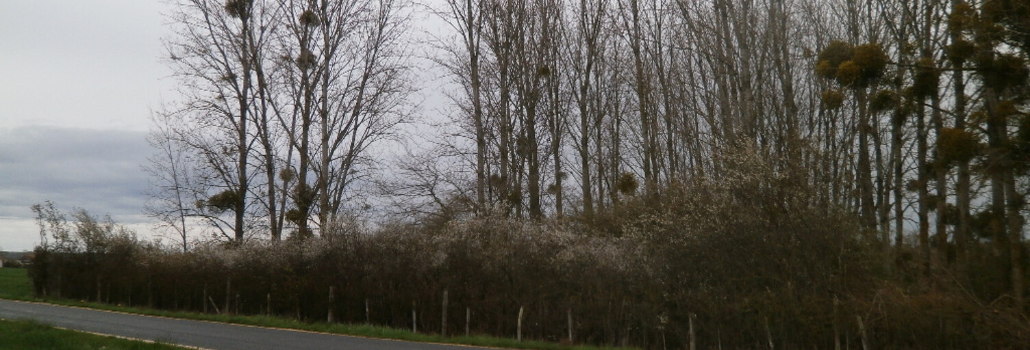 Divers  2370 m² à louer à Saint-Georges-sur-la-Prée (18100)