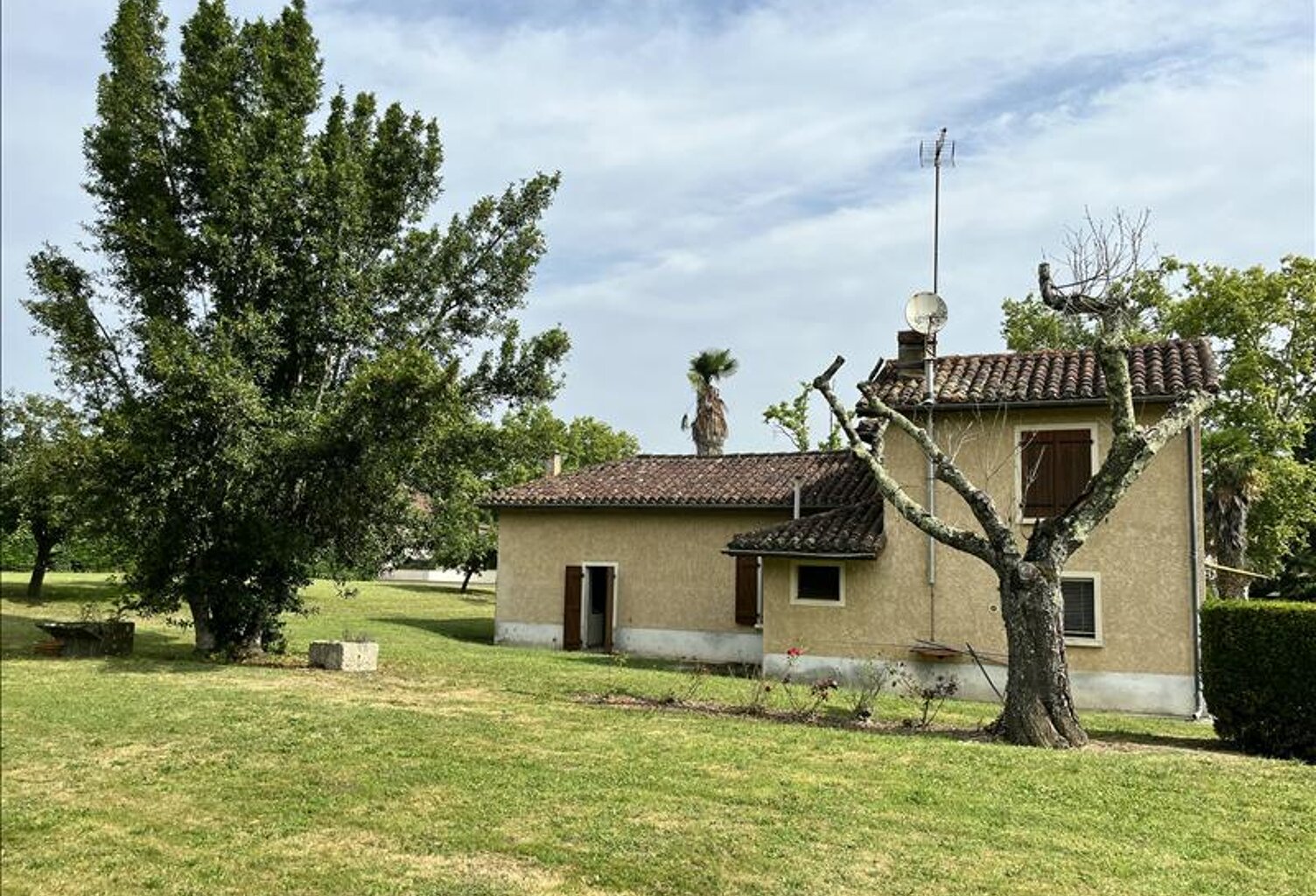 Traditionnelle de 4 pièces principales — photo 1