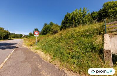 terrain  pièces 800 m2 à vendre à Murat-le-Quaire (63150)