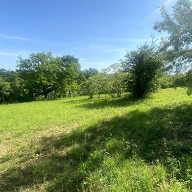 Terrain  40000 €