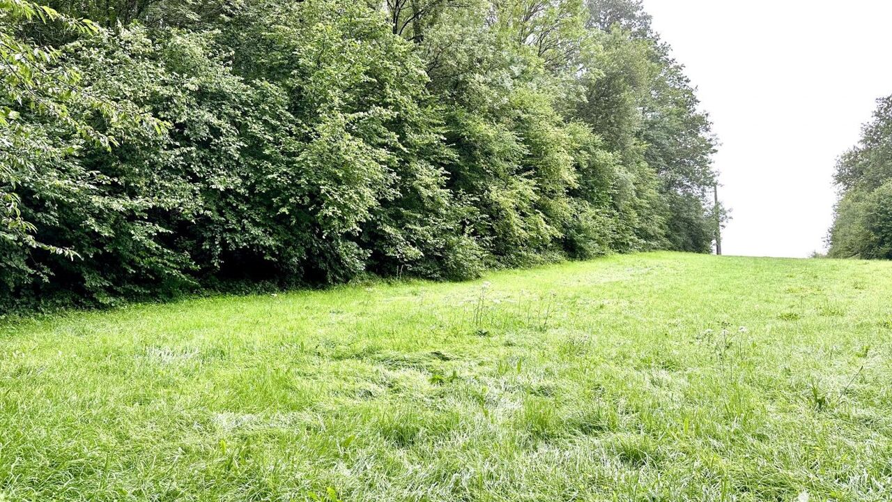 terrain  pièces 1000 m2 à vendre à Laval-Morency (08150)