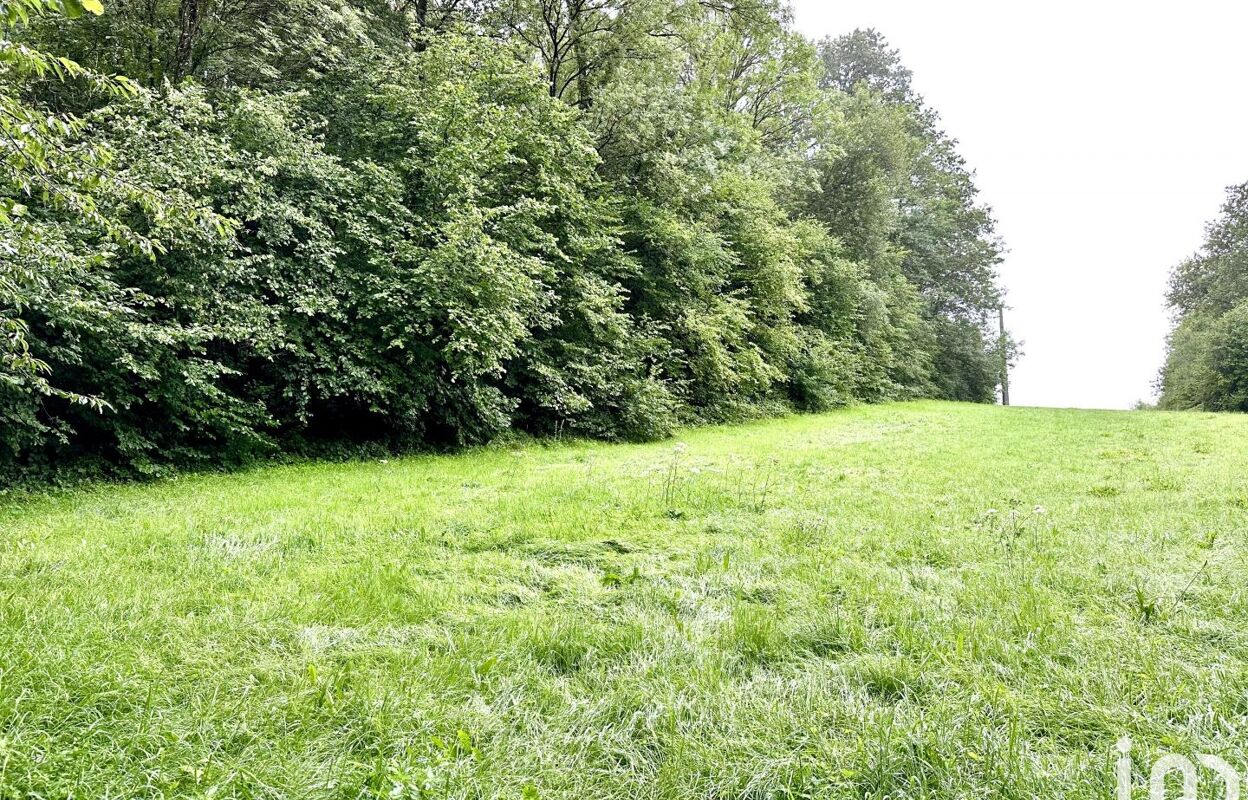 terrain  pièces 1000 m2 à vendre à Laval-Morency (08150)