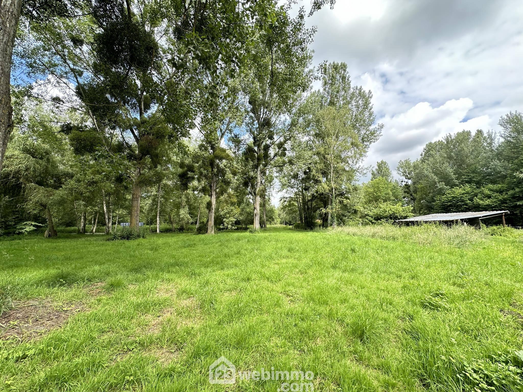 Agence immobilière de 123webimmo.com