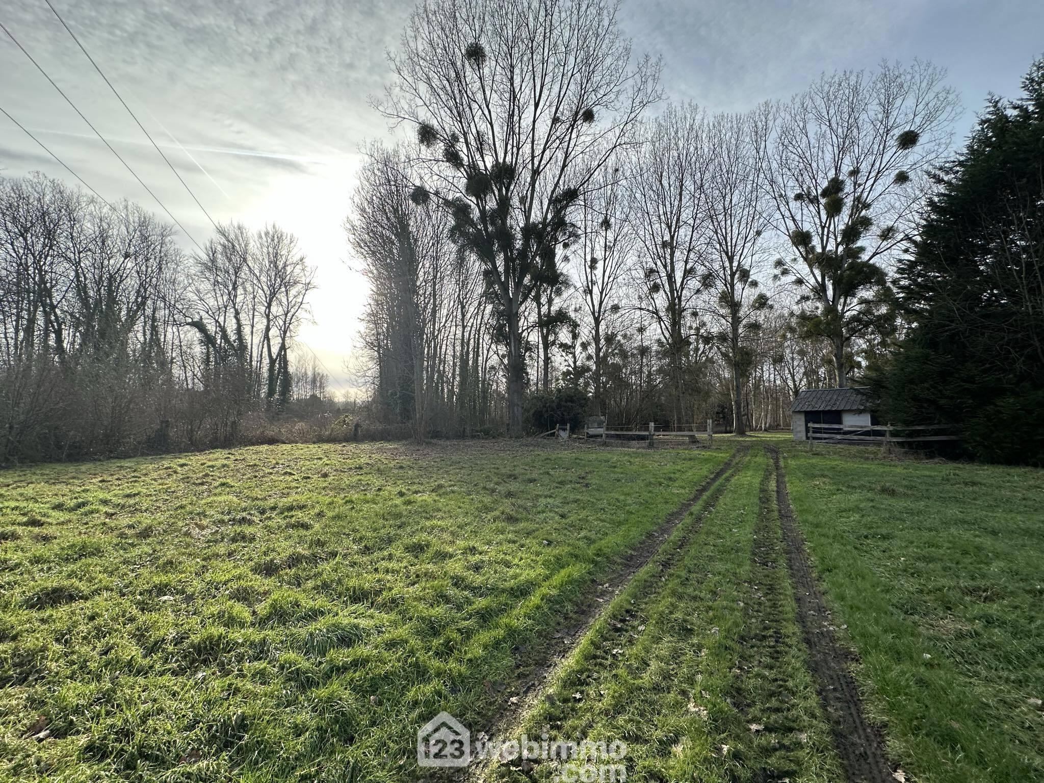 Terrain de loisirs - 3900m² - Presles-et-Thierny