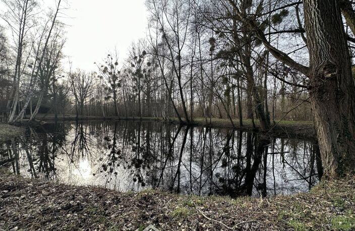 Terrain de loisirs - 3900m² - Presles-et-Thierny — photo 3