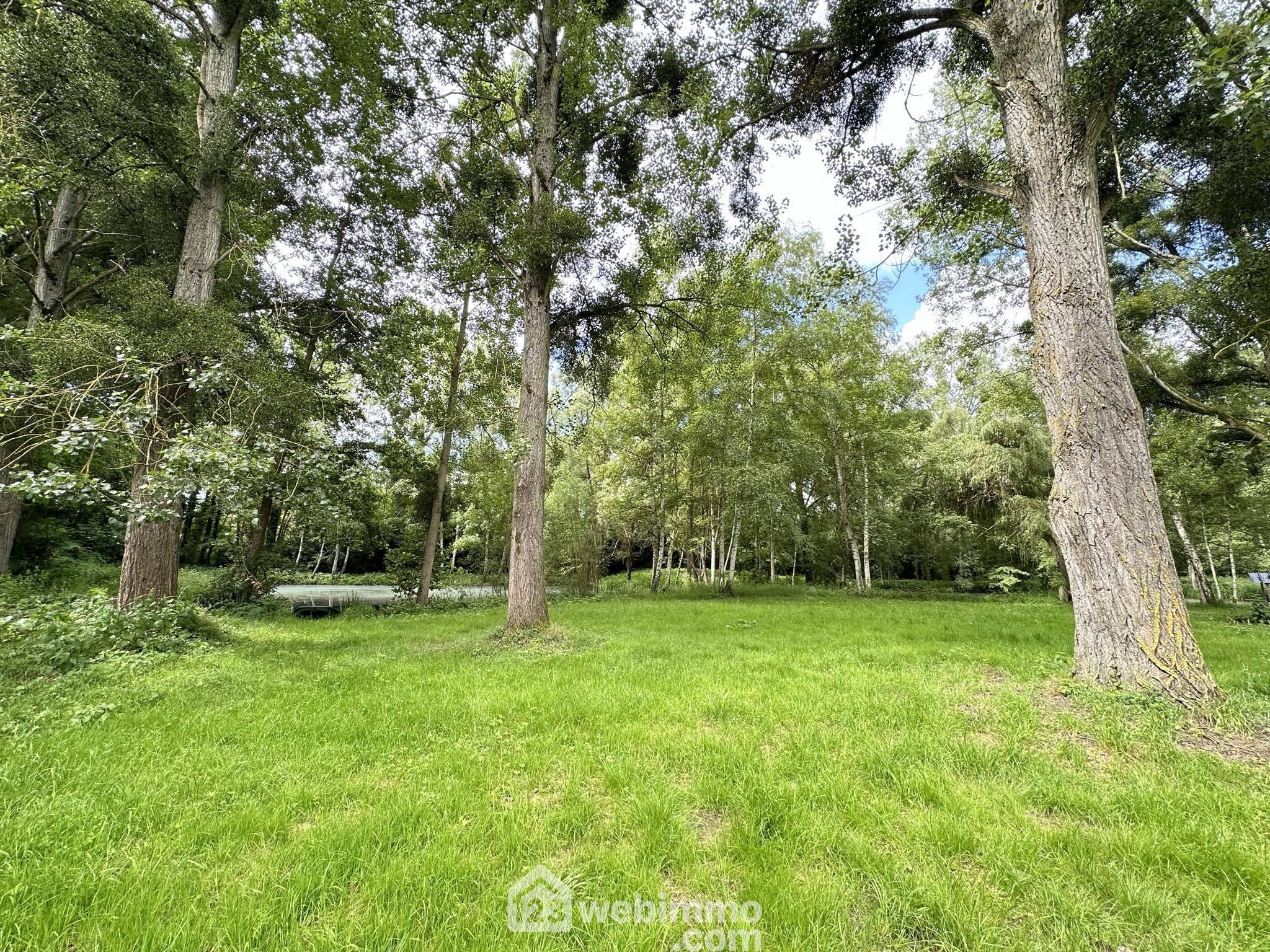 Photo Terrain de loisirs - 3900m² - Presles-et-Thierny image 3/4